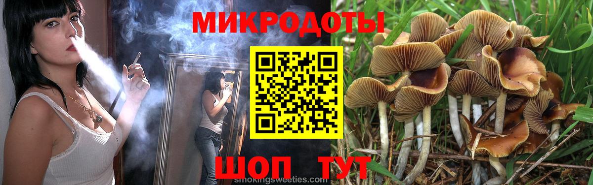 Псилоцибиновые грибы MAGIC MUSHROOMS  Галлюциногенные грибы GOLDEN TEACHER  Азнакаево  Вход с VPN 